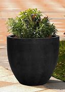 Image result for Giant Plant Pots