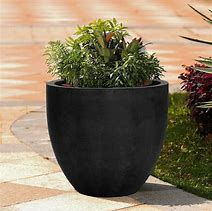 Image result for Large Indoor House Plant Pots