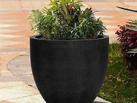 Image result for Plant Pots for Trees