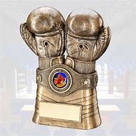 Image result for Boxing World Cup Trophy