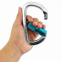 Image result for Auto Locking Carabiners Best
