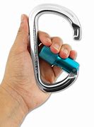 Image result for Locking Carabiner Product