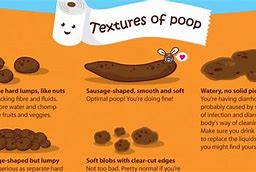 Image result for Weird Poop