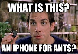 Image result for Animal On Phone Meme