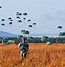 Image result for Paratrooper Memes