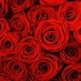 Image result for Awesome Red Wallpaper