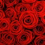 Image result for Amazing Red Backgrounds