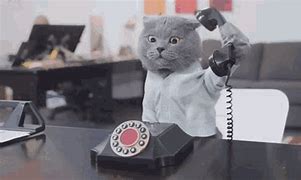 Image result for Telemarketing Call Funny