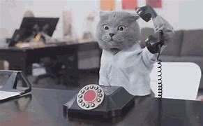 Image result for Phone Call Meme Cute