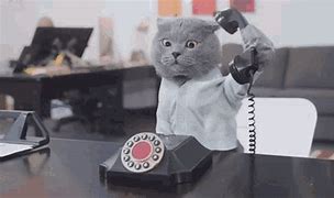 Image result for Funny Telephone GIF