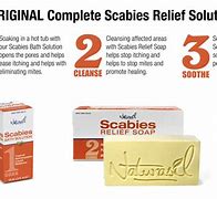 Image result for Scabies Treatment Cream