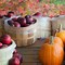 Image result for Apples and Pumpkins Activities
