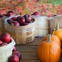 Image result for Fall Apple Varieties