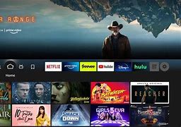 Image result for Amazon Fire Stick Screen