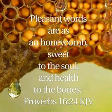 Image result for Proverbs 16:24