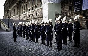 Image result for Serbian Honor Guard
