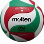 Image result for Molten Volleyball