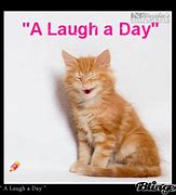 Image result for Laughing Day Meme