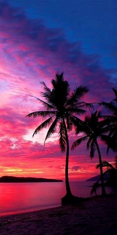 #絶景#風景#大自然サンセット#海岸 | Iphone wallpaper scenery, Nature photography, Beach sunset wallpaper