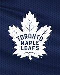 Image result for Toronto Maple Leafs Playoff Memes