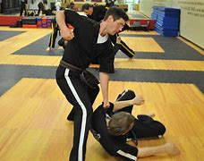 Image result for Martial Arts Training