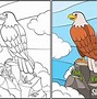 Image result for Flying Bald Eagle Coloring Pages