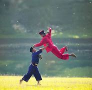Image result for Silat Indonesia