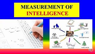 Image result for Instrument to Measure Intelligence