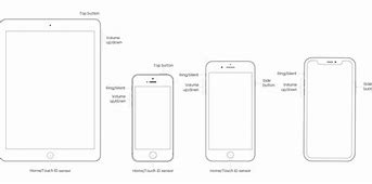 Image result for iPhone 8 Buttons Diagram
