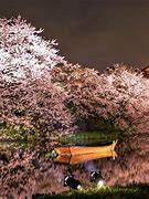 Image result for Yokohama Japan Garden