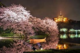 Image result for Yokohama Japan Garden