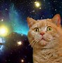Image result for Space Cat Wallpaper HD