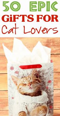 Image result for DIY Gifts for Cat Lovers