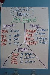 Image result for Collective Nouns Worksheets 2nd Grade
