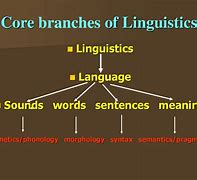 Image result for Areas of Linguistics