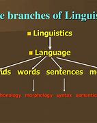 Image result for Main Branches of Linguistics