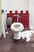 Image result for Toilet Sewage