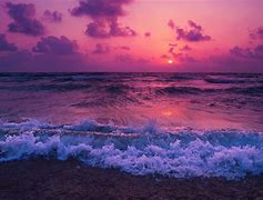 Image result for Purple Beach Australia