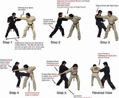Image result for Martial Arts Fighting Techniques
