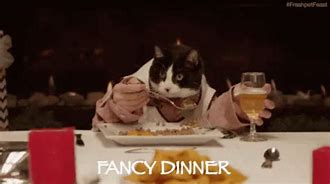 Image result for Fancy Feast Cat Meme