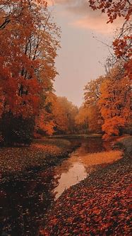 Image result for Preppy Autumn Wallpaper