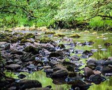 Image result for Afon Goch