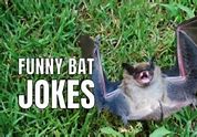 Image result for Humorous Bat Hunting