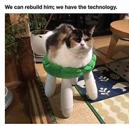 Image result for Funny Pics 2019