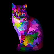 Image result for Cool Colorful Cat