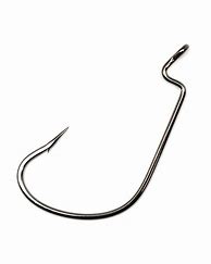 Image result for Worm Fishing Hooks