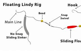 Image result for Lindy Rig