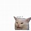 Image result for Crying Cat Meme Phone