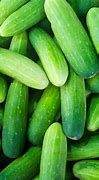 Image result for Cucumber Varieties