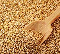 quinoa 的图像结果
